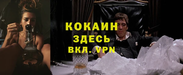 спиды Аркадак