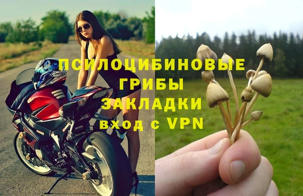 амф Арсеньев