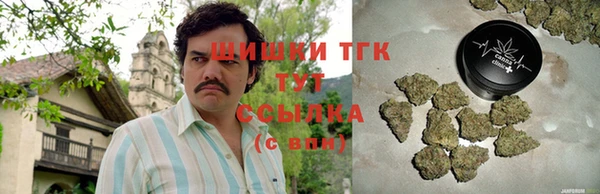 амф Арсеньев